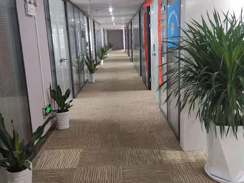 湛江公司注册